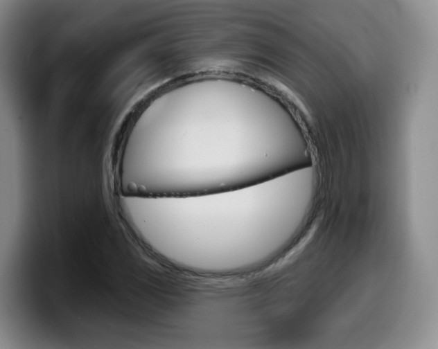 X0000099451117200805090722