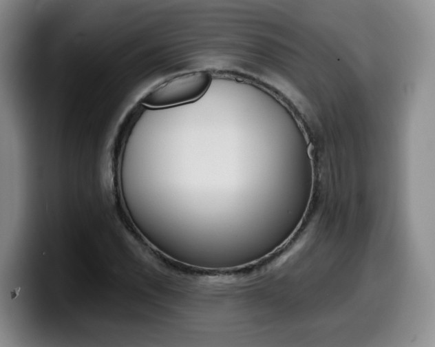 X0000099451118200805090722