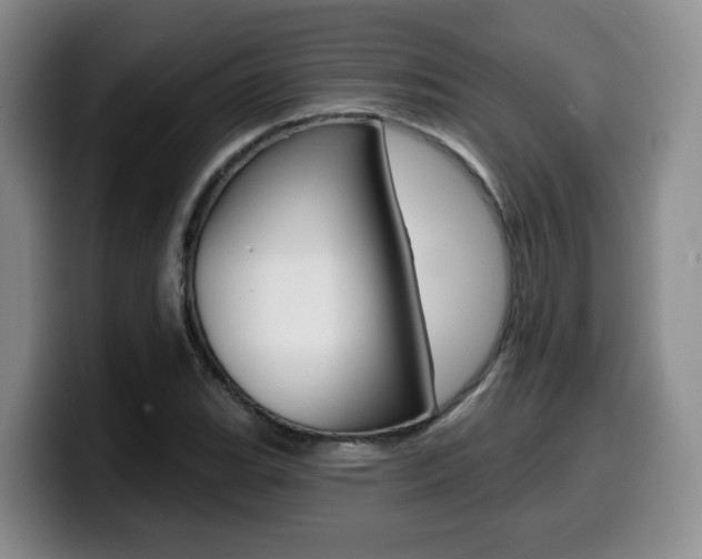 X0000099451119200805090722