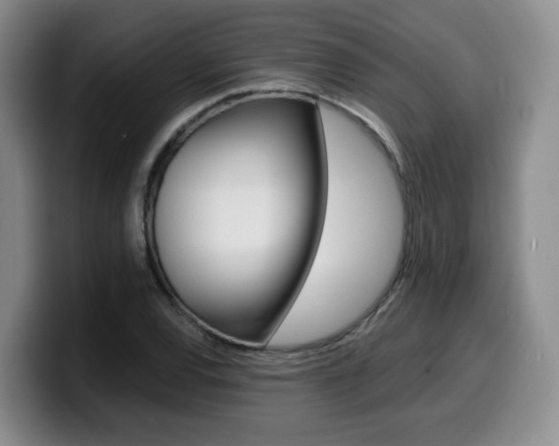 X0000099451120200805090722
