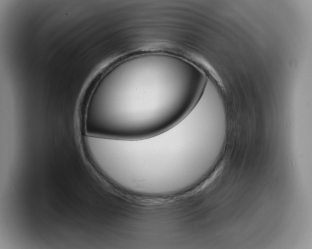 X0000099451122200805090722
