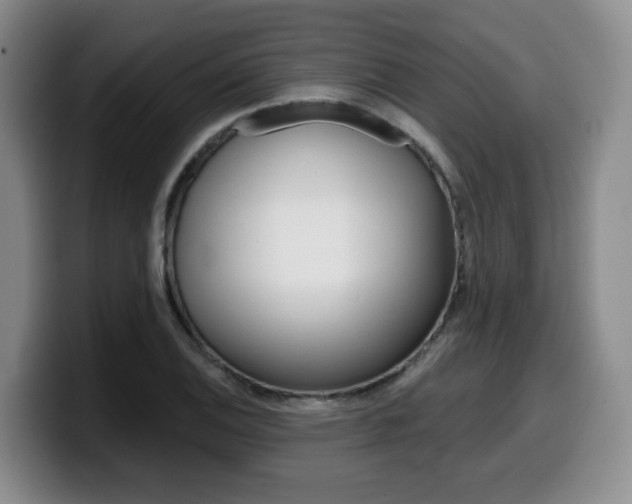 X0000099451124200805090722