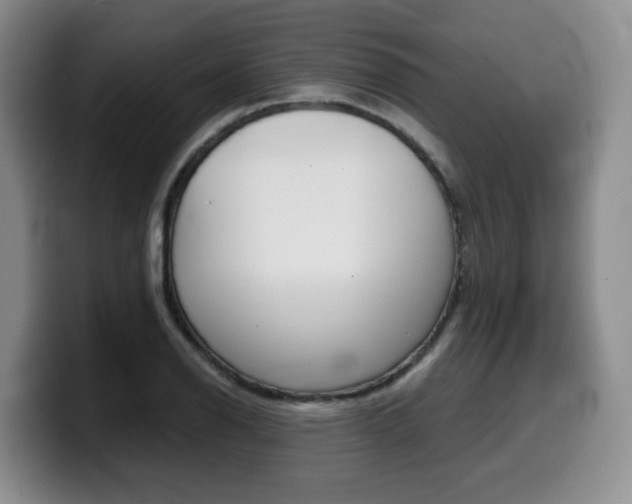 X0000099451126200805090722