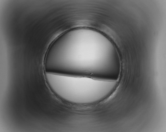 X0000099451129200805090722