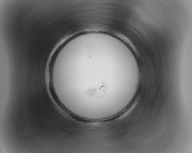 X0000099451130200805090722
