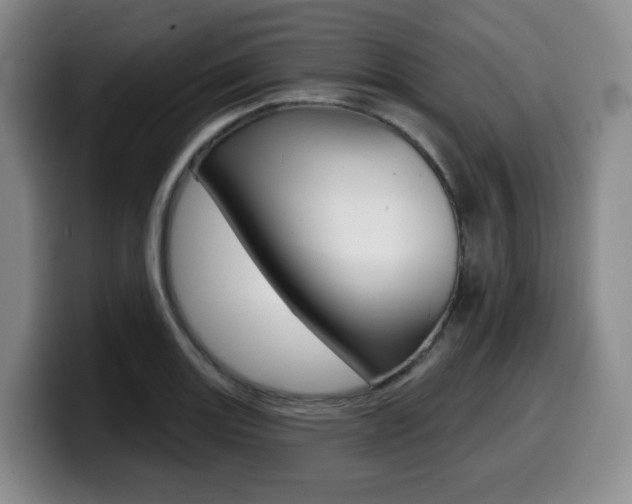 X0000099451131200805090722