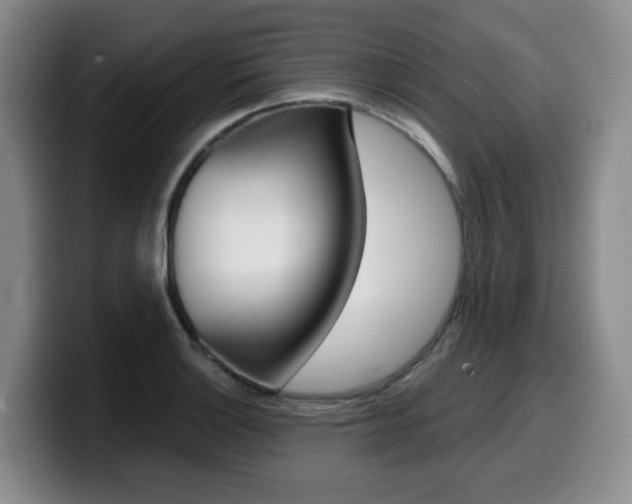 X0000099451132200805090722