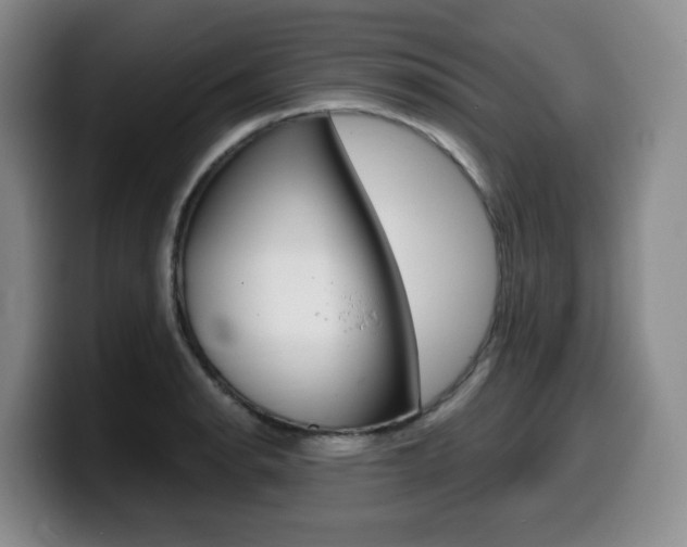 X0000099451134200805090722