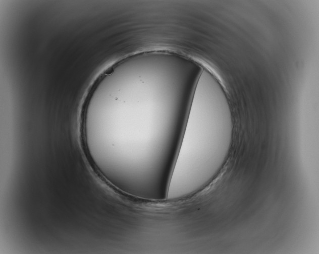 X0000099451135200805090722