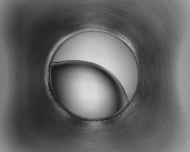 X0000099451136200805090722