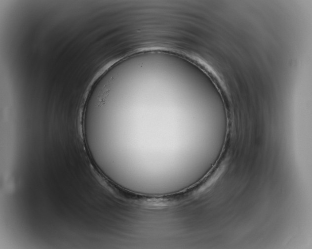 X0000099451137200805090722