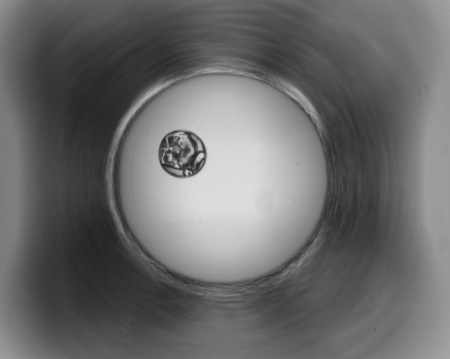 X0000099451138200805090722