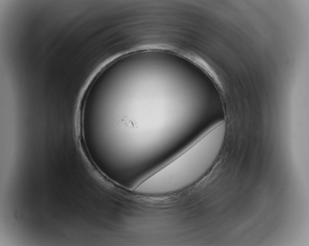 X0000099451140200805090722