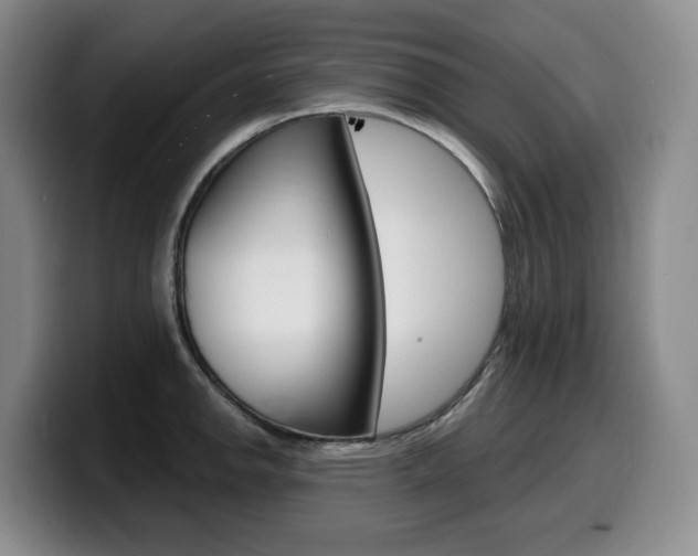 X0000099451142200805090722