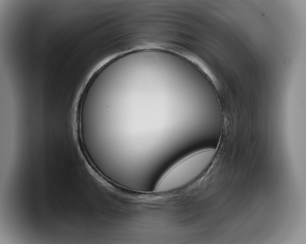 X0000099451143200805090722