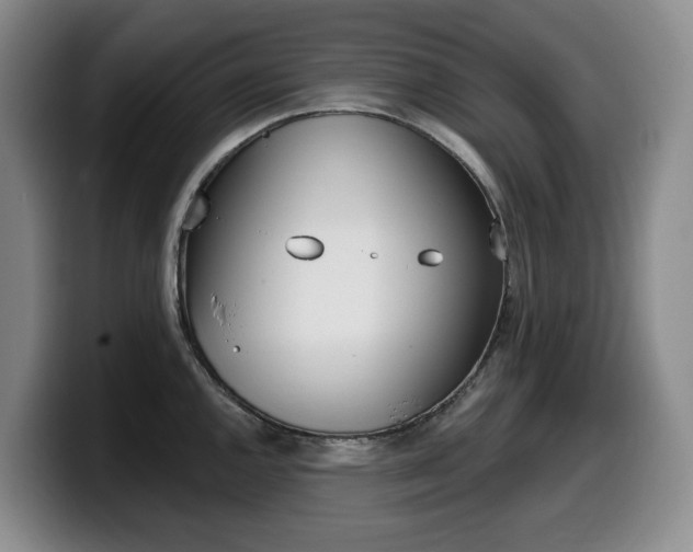 X0000099451144200805090722