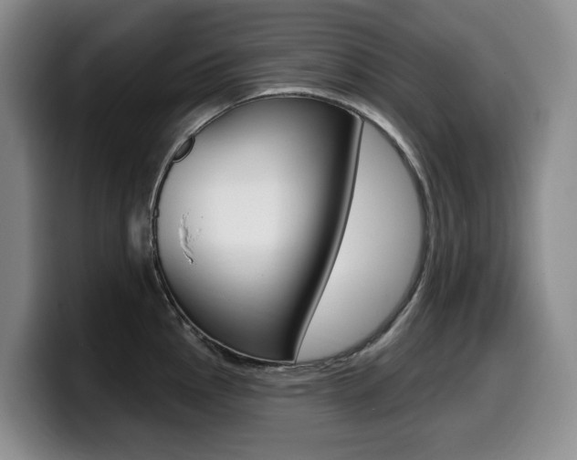 X0000099451145200805090722