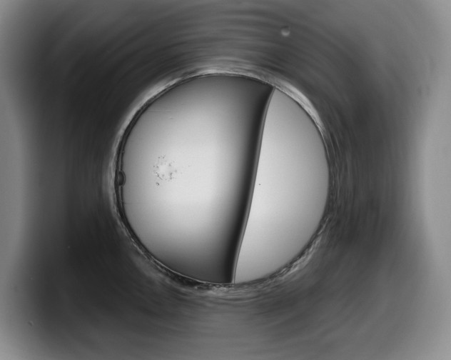 X0000099451146200805090722