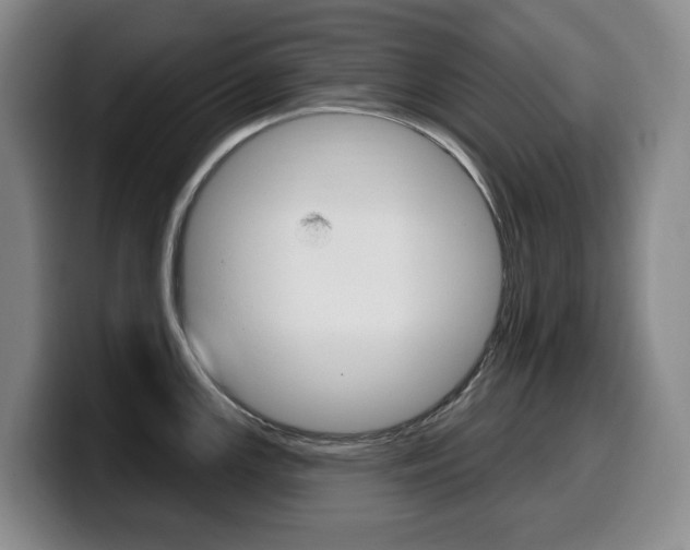 X0000099451147200805090722