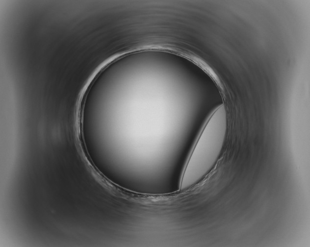 X0000099451148200805090722