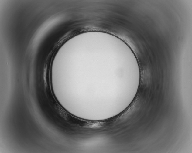 X0000099451150200805090722