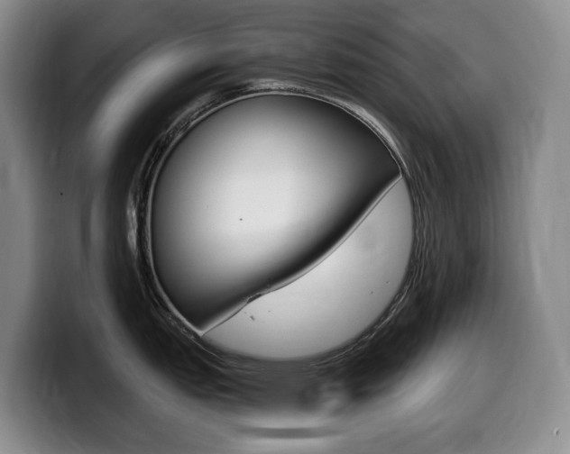 X0000099451151200805090722