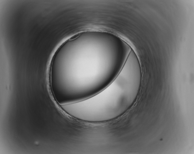 X0000099451152200805090722