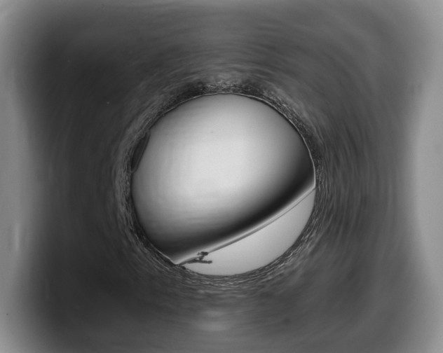X0000099451153200805090722