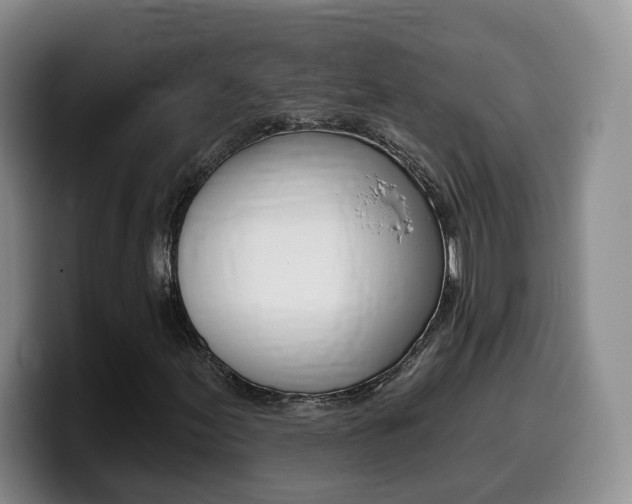 X0000099451155200805090722