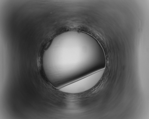 X0000099451156200805090722