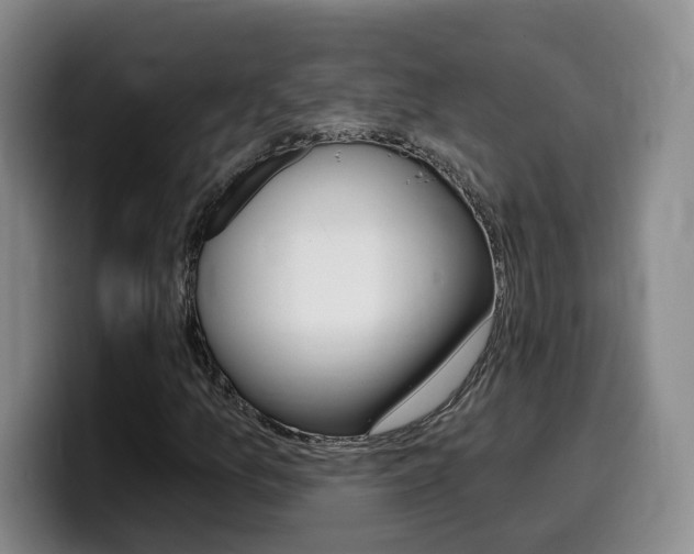 X0000099451157200805090722