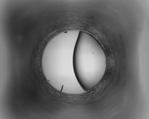 X0000099451158200805090722