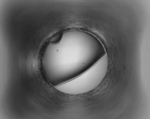 X0000099451159200805090722