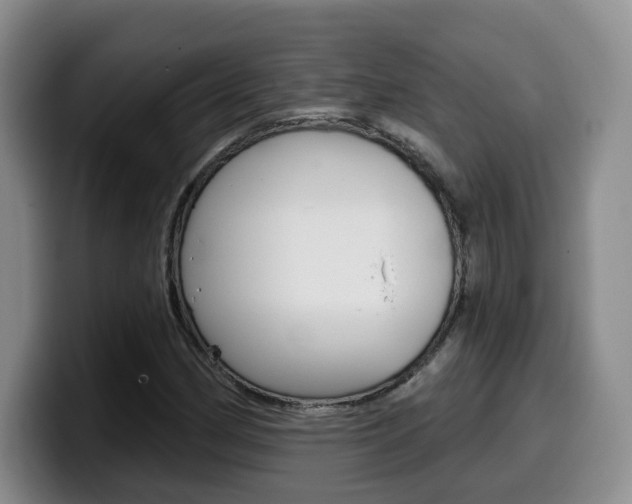 X0000099451162200805090722