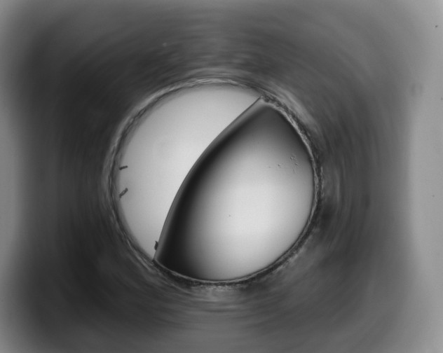 X0000099451164200805090721