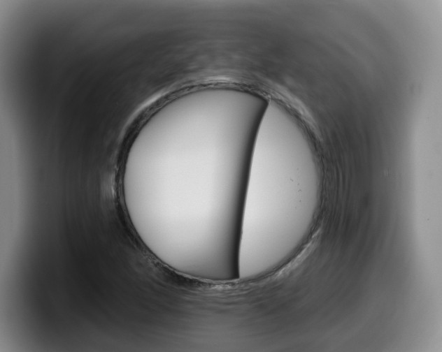 X0000099451166200805090721