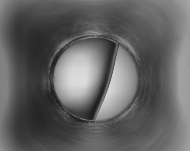X0000099451168200805090721