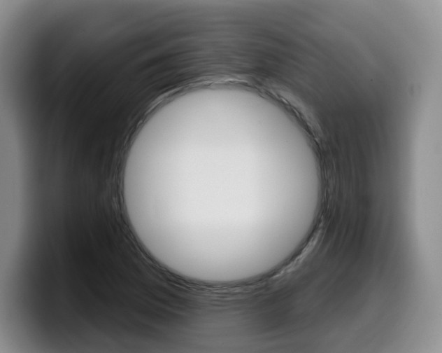 X0000099451169200805090721