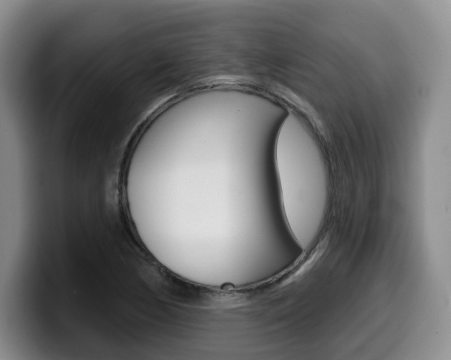 X0000099451170200805090721