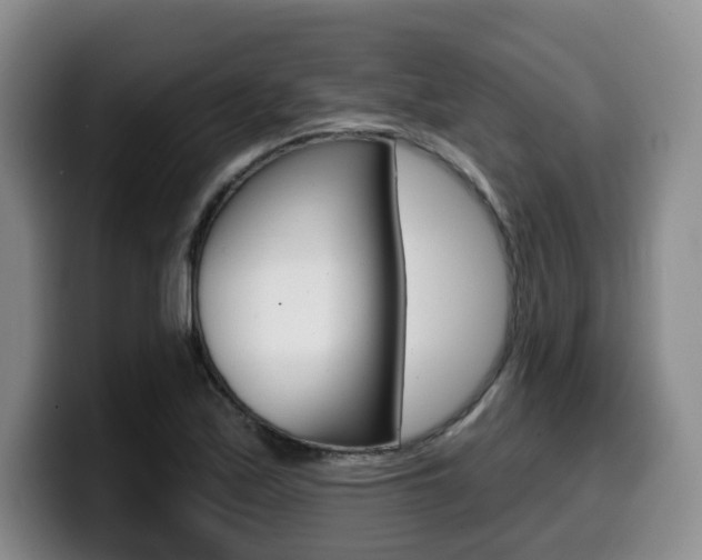 X0000099451171200805090721