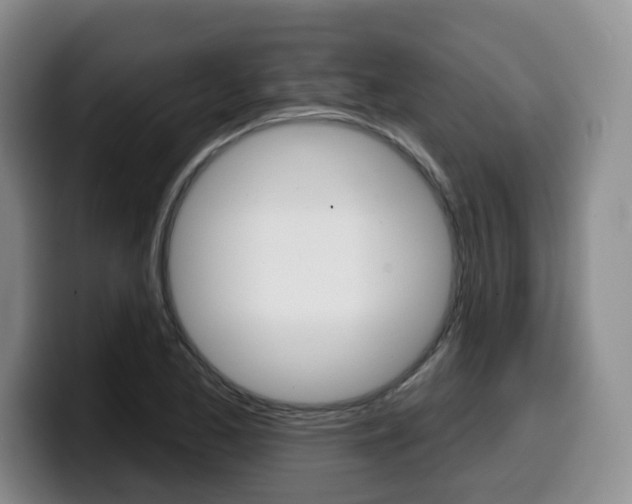 X0000099451173200805090721