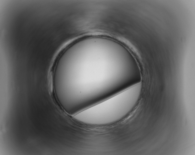 X0000099451175200805090721