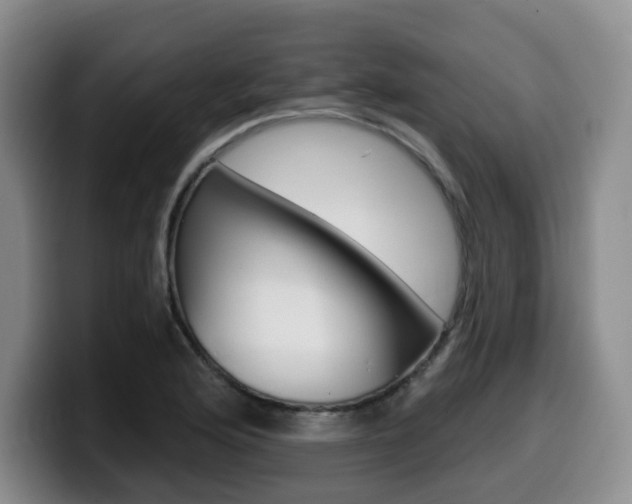 X0000099451176200805090721