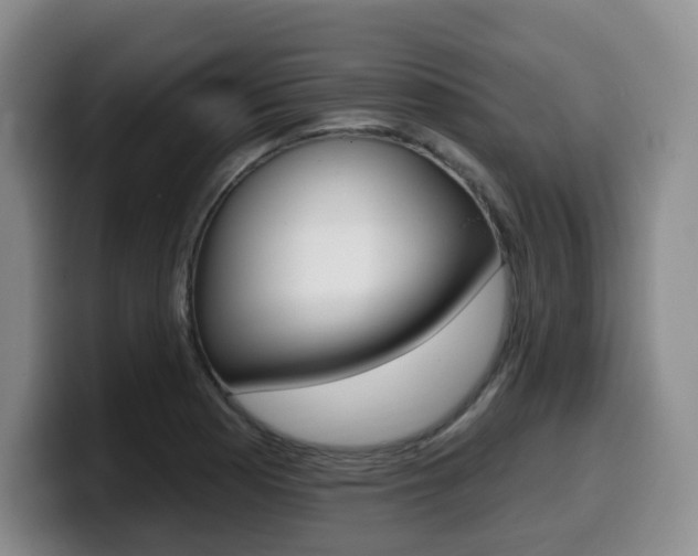 X0000099451177200805090721