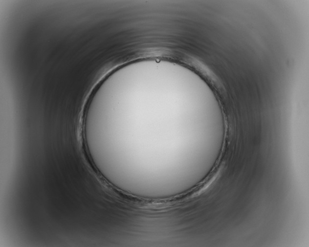 X0000099451178200805090721