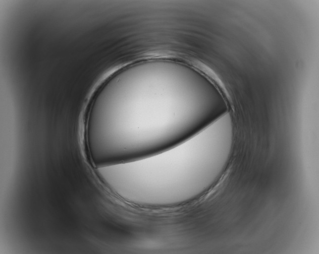 X0000099451179200805090721