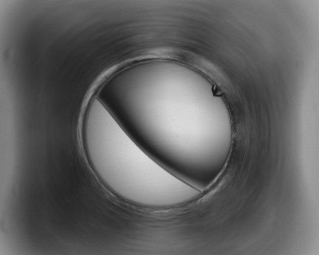 X0000099451180200805090721