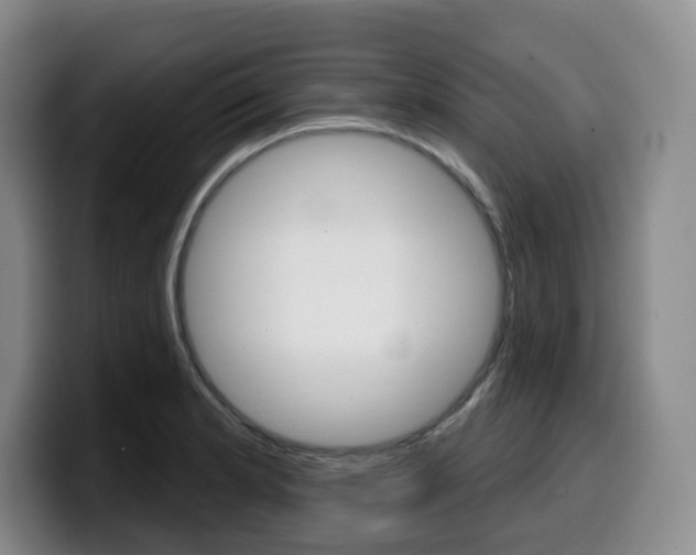 X0000099451181200805090721