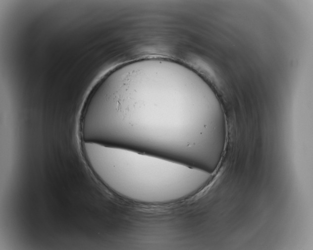 X0000099451182200805090721