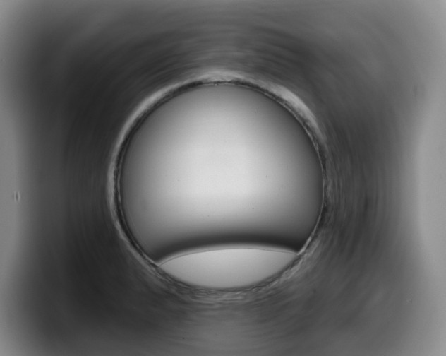 X0000099451183200805090721